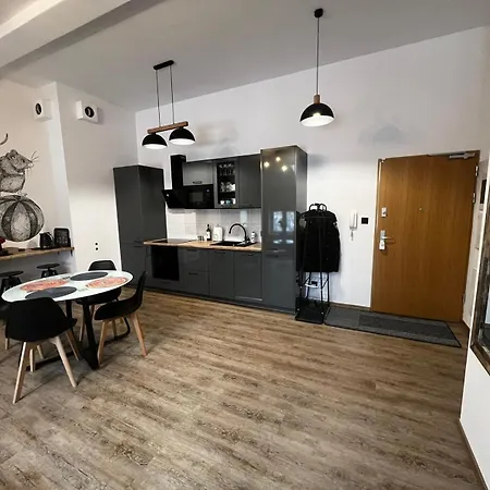 Mye - Kamienica Sienkiewicza Apartment Lodz